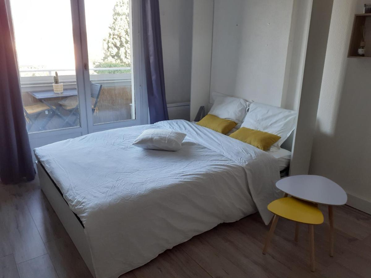 Studio Balcon Proche Hypercentre De 纳博讷 外观 照片